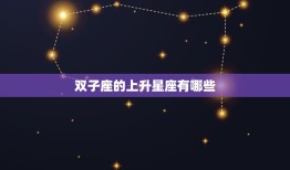 双子的上升星座是什么座(介绍你的内心世界)