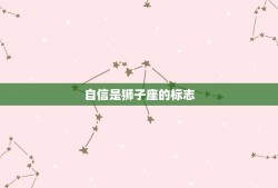 狮子座的性格特征是哪些(介绍自信、热情、气质)