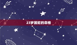 23岁属蛇是什么命格(介绍命运之路的起点)