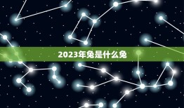 2023年兔是什么兔 哪几约好(详解兔年运势及吉日吉时)