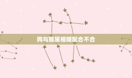 狗与猴属相婚配合不合(星座学家的解读)