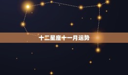 十二星座十一月运势(星象变幻财运旺盛事业顺利爱情甜蜜)