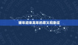 2023年万年历属相(猪年迎来龙年十二生肖轮回再启程)