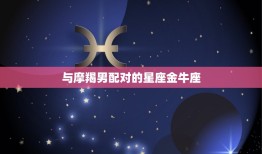 摩羯男与12星座配对(匹配的星座组合)