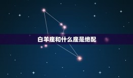 白羊座和什么座是绝配(星座配对大介绍)