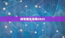 祥安阁生肖网2023(预测猪年将迎来哪些转机)