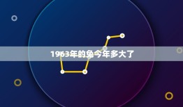 1963年的兔今年多大了(解读生肖年份的计算方法)