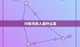 78年马年人是什么命(介绍命运与性格特点)