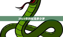 2023年的蛇是多少岁(揭秘中国十二生肖的年龄计算方法)