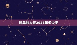 属羊2023年多少岁(你的生肖年龄将迎来新的挑战)