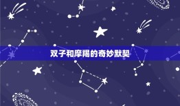 双子是最懂摩羯的人嘛(介绍星座配对介绍双子和摩羯的奇妙默契)