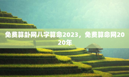 免费算卦网八字算命2023，免费算命网2020年