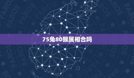 75兔80猴属相合吗(介绍兔猴属相的相处之路)