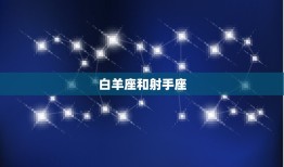 白羊座和什么座是绝配(星座配对大介绍)