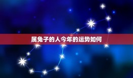 属兔子的人今年多少岁(2023年属兔子的人该注意什么)