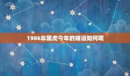 1986年属虎今年的赌运如何呢(赌场里的幸运星)