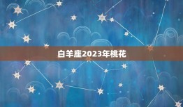 白羊座2023年桃花(爱情运势大介绍)