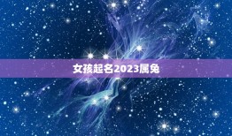 女孩起名2023属兔(如何选择适合的名字)