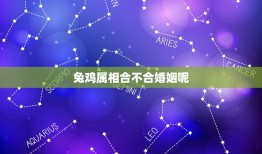 兔鸡属相合不合婚姻呢(如何选择婚姻对象)