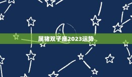 属猪双子座2023运势(财运亨通事业有成)