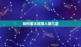 怎么看太阳落入第几宫(掌握星盘解读的方法)