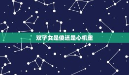 双子女是傻还是心机重(介绍星座)