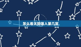 怎么看太阳落入第几宫(掌握星盘解读的方法)