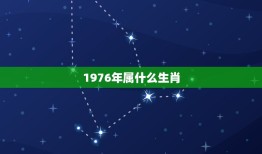 1976年属什么生肖(猴年出生的你聪明机智活力)