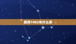 属狗1982年什么命(狗年出生的人命运如何)