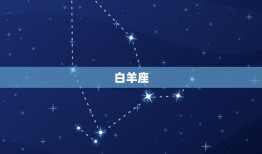 12星座都是什么星座(星座世界)