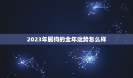 2023年属狗的全年运势怎么样(狗年大展宏图财运亨通)