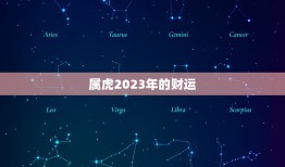 属虎2023年的财运(展望财源滚滚财富不断涌现)