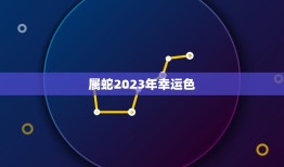 属蛇2023年幸运色(介绍让你事业爱情双丰收的颜色)