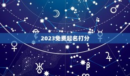 2023免费起名打分(专业起名让宝宝名字更有灵气)