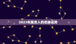 酉时虎2023年运势(独具慧眼迎接新机遇)