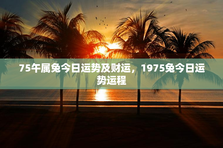 75午属兔今日运势及财运，1975兔今日运势运程