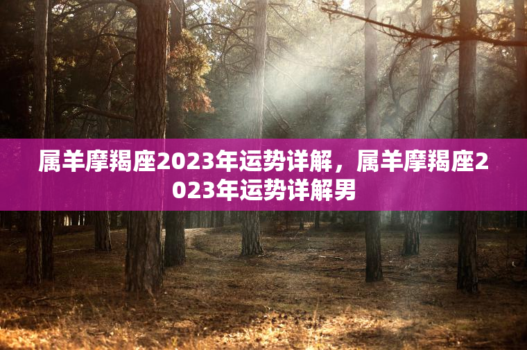 属羊摩羯座2023年运势详解，属羊摩羯座2023年运势详解男