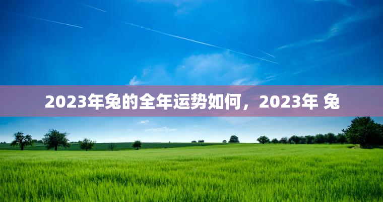 2023年兔的全年运势如何，2023年 兔