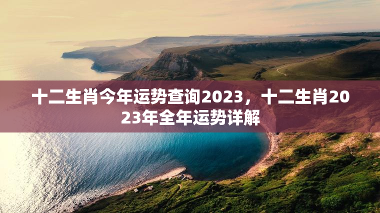 十二生肖今年运势查询2023，十二生肖2023年全年运势详解