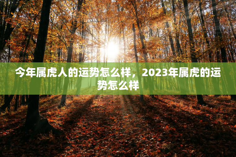 今年属虎人的运势怎么样，2023年属虎的运势怎么样