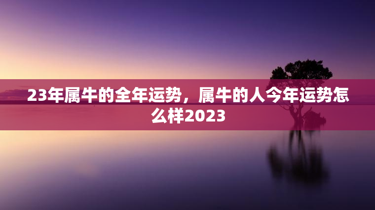 23年属牛的全年运势，属牛的人今年运势怎么样2023