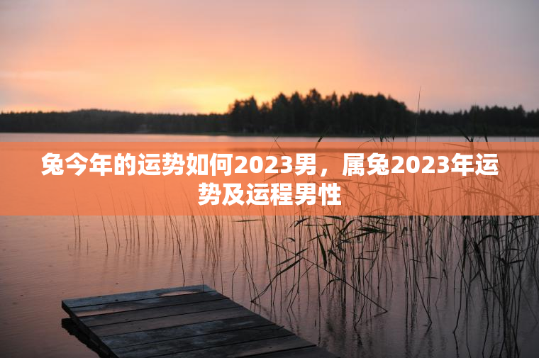 兔今年的运势如何2023男，属兔2023年运势及运程男性