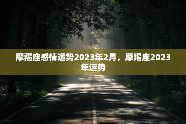 摩羯座感情运势2023年2月，摩羯座2023年运势