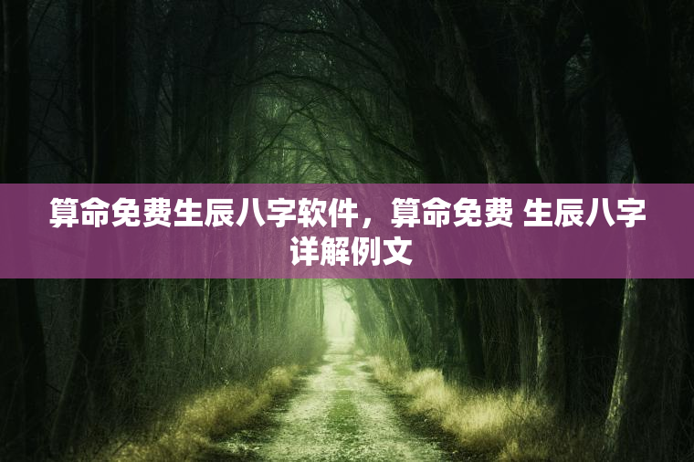 算命免费生辰八字软件，算命免费 生辰八字 详解例文