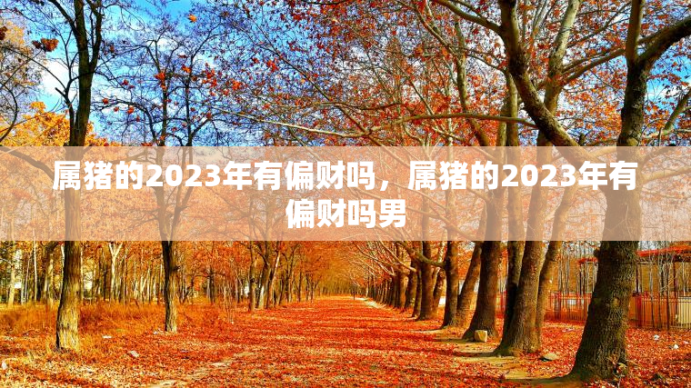 属猪的2023年有偏财吗，属猪的2023年有偏财吗男