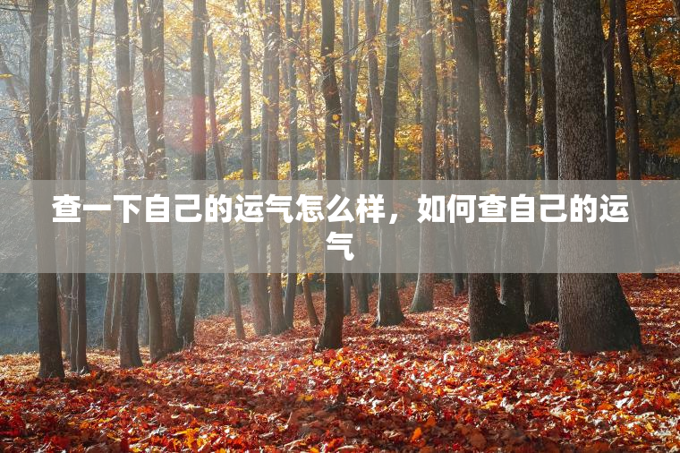 查一下自己的运气怎么样，如何查自己的运气