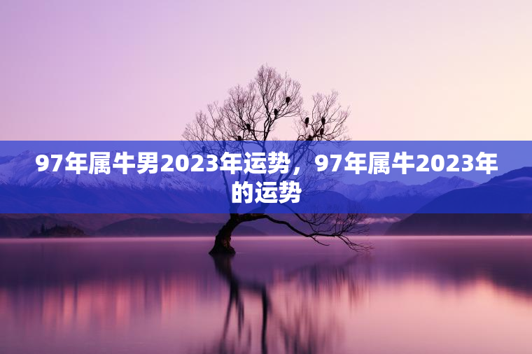 97年属牛男2023年运势，97年属牛2023年的运势