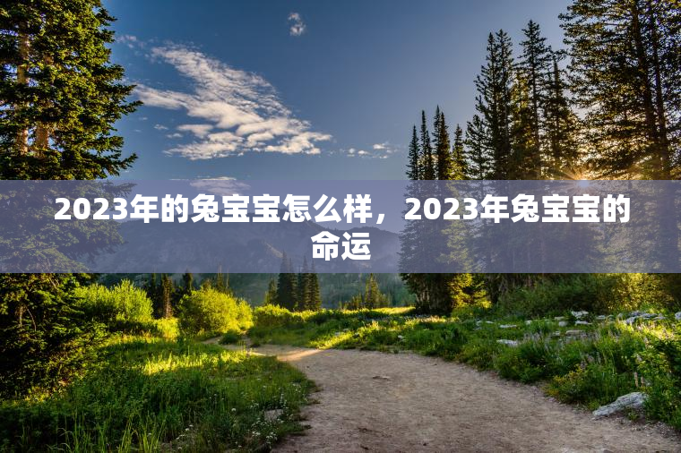 2023年的兔宝宝怎么样，2023年兔宝宝的命运