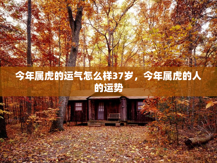 今年属虎的运气怎么样37岁，今年属虎的人的运势  第1张