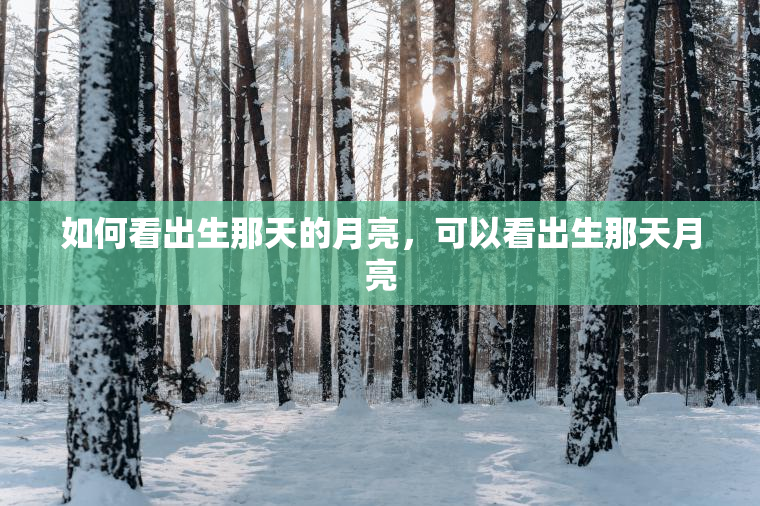 如何看出生那天的月亮，可以看出生那天月亮  第1张